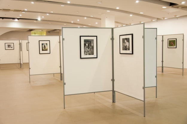 The Royal Photographic Societys' biennial collection